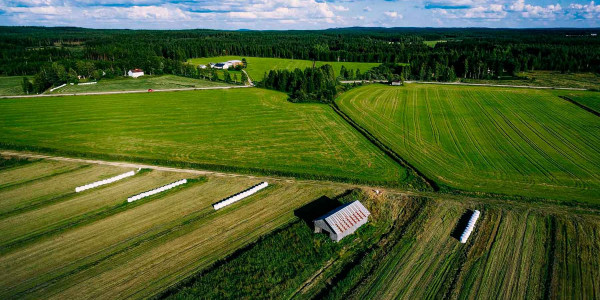 Estudios de suelos agrícolas en el Tarragonès